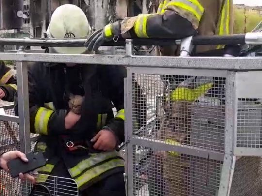 Під Києвом провели спецоперацію з порятунку… кота зі зруйнованої багатоповерхівки (фото, відео)