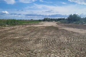 В Одесской области экс-глава РГА передал земли у моря своей маме 