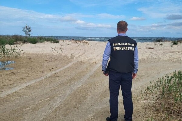 В Одесской области экс-глава РГА передал земли у моря своей маме 
