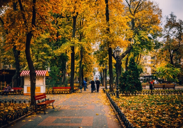 Теплые дни и осенняя прохлада: какая погода будет в Одессе на следующей неделе