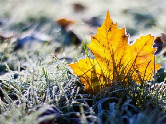 Очікується мокрий сніг: синоптикиня уточнила прогноз на&nbsp;новий тиждень