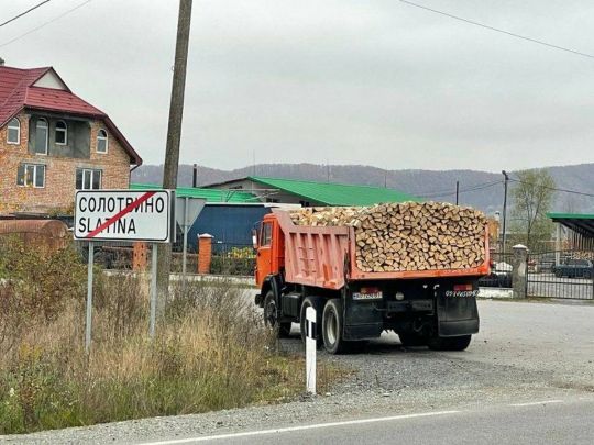 ЗМІ розповіли, як у Великобичківському ЛМГ на Закарпатті роками розкрадають ліс