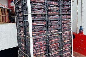 Впервые за время независимости Украины порт в Одесской области привезли цитрусовые