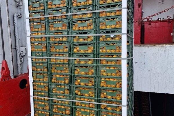 Впервые за время независимости Украины порт в Одесской области привезли цитрусовые