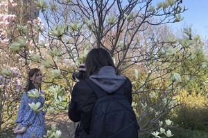Магнолии, сакуры и экзотические цветы: в Одесском ботсаду началось активное цветение