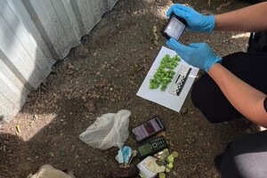 В Одессе полицейские разоблачили пожилого закладчика: он позировал полицейским с котенком