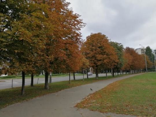 Потепління буде коротким, натомість у&nbsp;суботу&nbsp;&mdash; &laquo;рахат-лукум&raquo;: синотик розповіла, коли в&nbsp;Україні знову похолодає