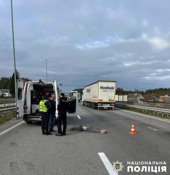 Народний депутат Ніколаєнко потрапив у смертельну ДТП на Житомирщині, — ЗМІ (фото)