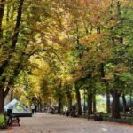 Уже прохладно: какая погода будет в Одессе в эти выходные