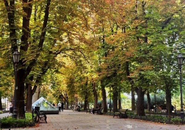 Уже прохладно: какая погода будет в Одессе в эти выходные