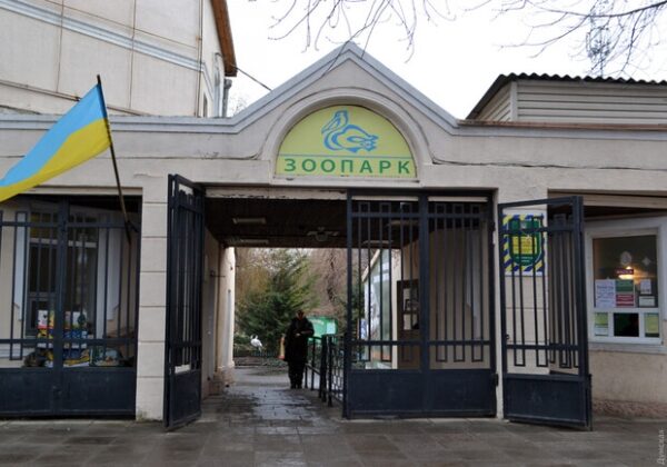 В Одесском зоопарке капитально обновят отопление: работы оценивают почти в 5 миллионов гривен В Одесском зоопарке капитально обновят отопление: работы оценивают почти в 5 миллионов гривен