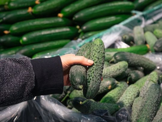 На&nbsp;10% за&nbsp;тиждень: в&nbsp;Україні зріс у&nbsp;ціні &laquo;літній&raquo; овоч