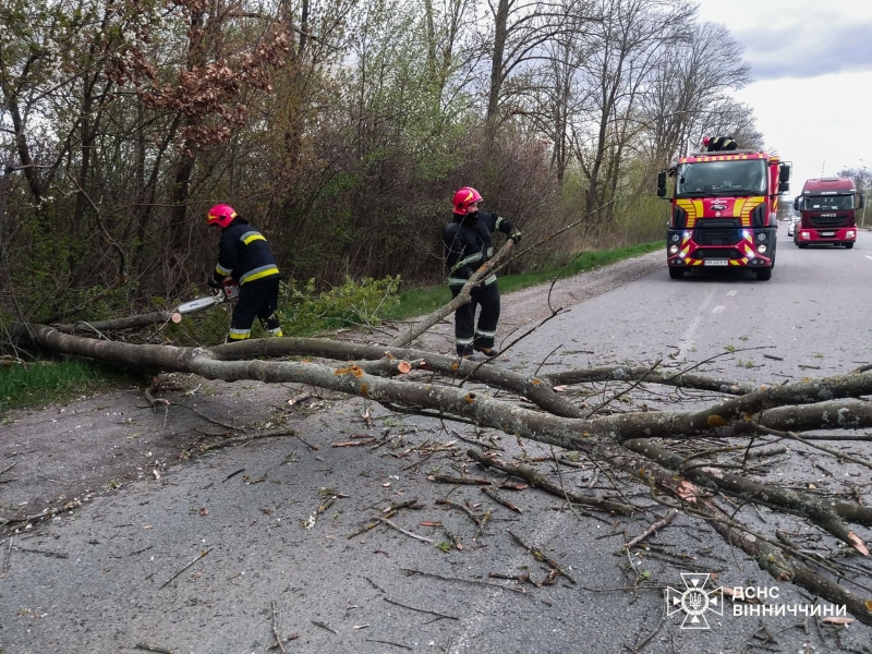 Буревій в&nbsp;Україні: дерева вбивають людей, сотні населених пунктів без електрики (фото)