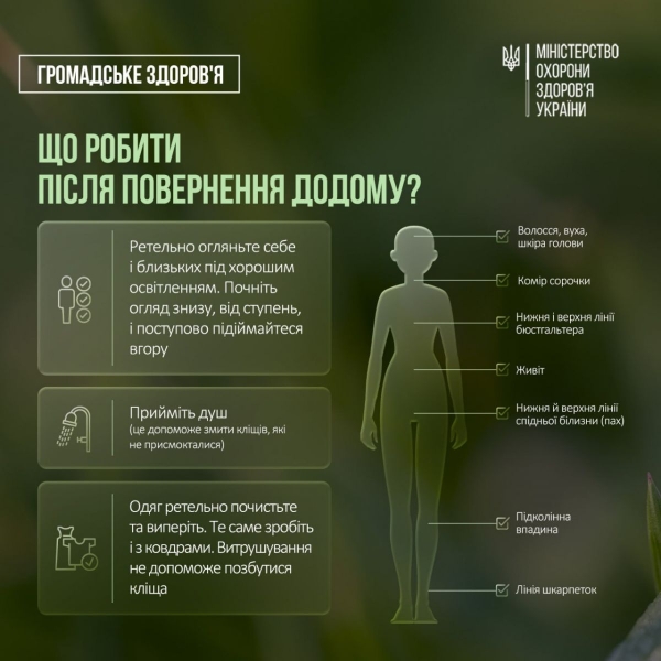 &laquo;Сезон кліщів&raquo; у&nbsp;розпалі: МОЗ нагадало про небезпечних сусідів