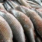 Скоро подорожчає популярний в українців продукт харчування: про що йдеться і наскільки дорожче доведеться заплатити