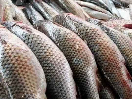 Скоро подорожчає популярний в&nbsp;українців продукт харчування: про що&nbsp;йдеться і&nbsp;наскільки дорожче доведеться заплатити