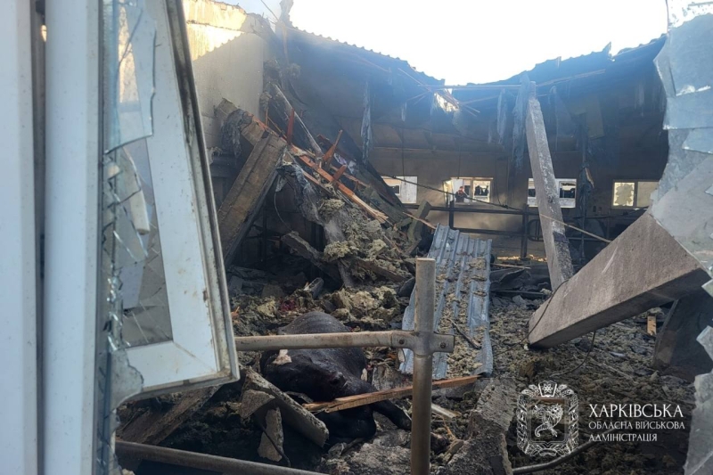 Майже 140 безпілотників ворога атакували Україну вночі: як&nbsp;спрацювала ППО і&nbsp;де&nbsp;були &laquo;прильоти&raquo;