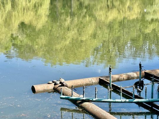 Спека спадає&nbsp;&mdash; в&nbsp;Україну йдуть дощі: коли зміниться погода