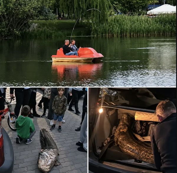 Вдала рибалка у&nbsp;Варшаві обернулася для українця депортацією з&nbsp;Польщі: у&nbsp;чому звинуватили рибалки (фото)